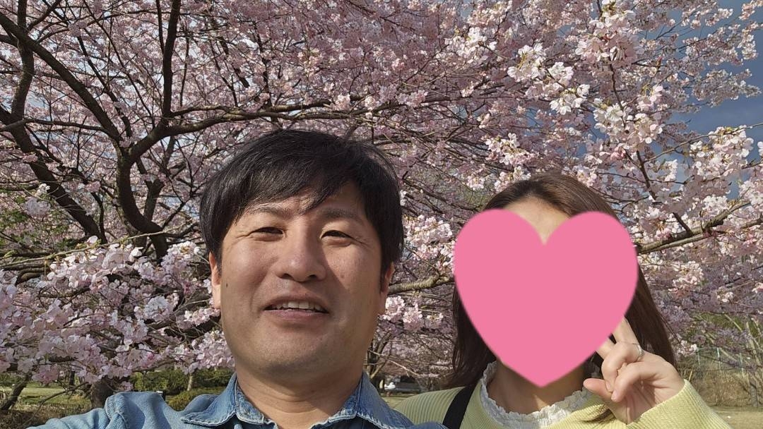 桜を見てきました